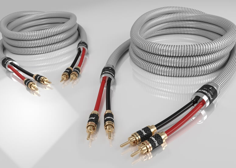 Invictus Reference MKII Speaker Cable
