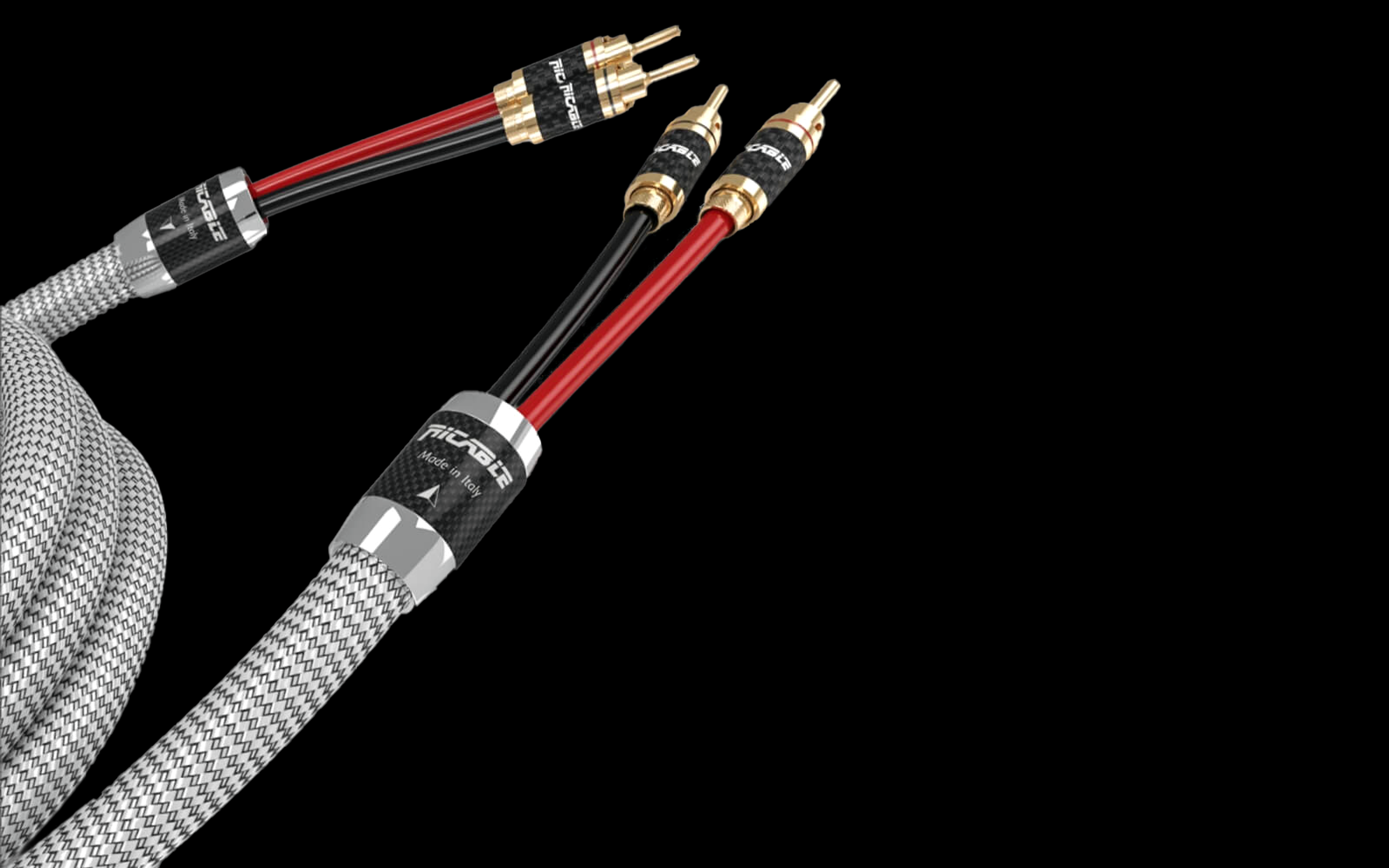 Ricable Invictus Reference MKII speaker cable on black background